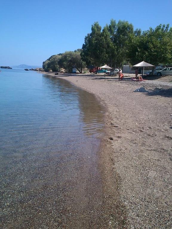 Evoikos Beach & Resort Livanatai Luaran gambar