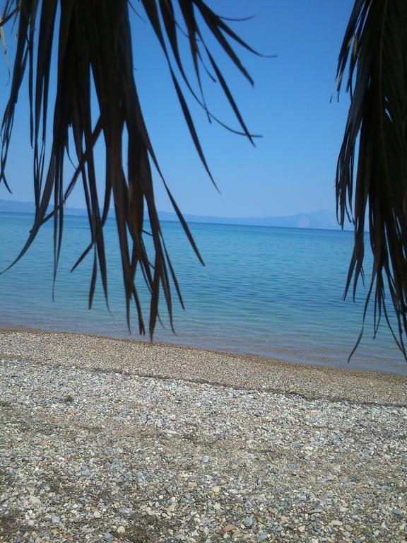 Evoikos Beach & Resort Livanatai Luaran gambar