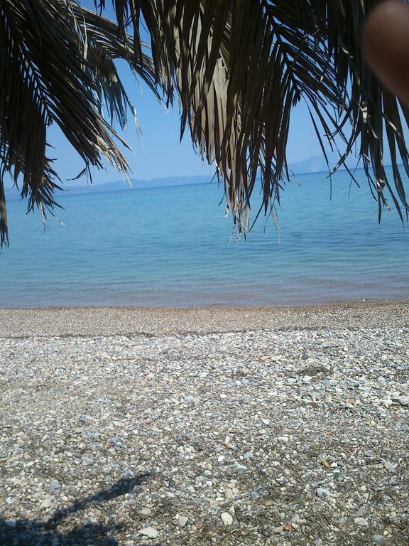 Evoikos Beach & Resort Livanatai Luaran gambar