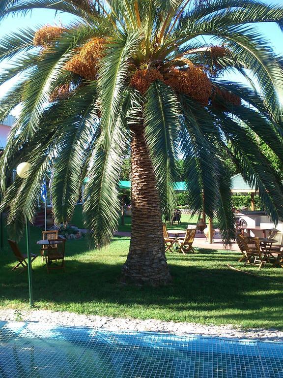 Evoikos Beach & Resort Livanatai Luaran gambar